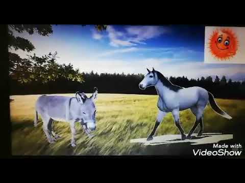 როგორ ისწავლა ვირუკამ კარგად მოქცევა