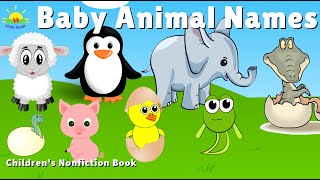 Baby Animal Names - Young Animal Name, Baby Animal Video, Childrens Nonfiction Book -