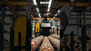 Kagaz kaise banta hai? 🤯 | Tree to Paper Process Explained #shorts #viral #trending #paper #lakdi