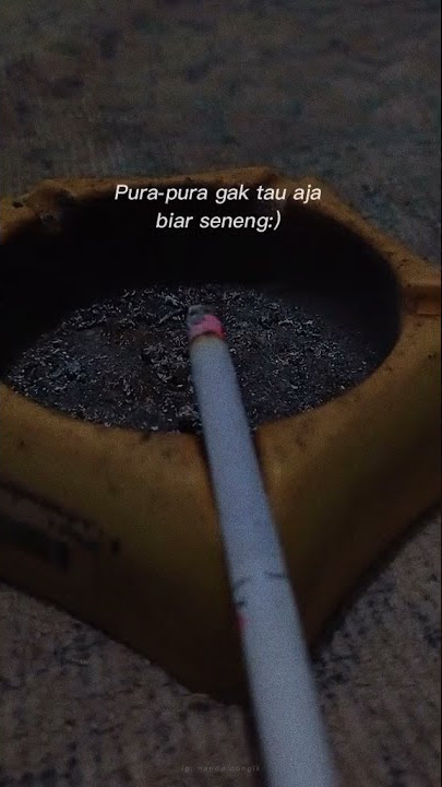 STORY WA || PURA PURA GAK TAU AJA BIAR SENENG:)