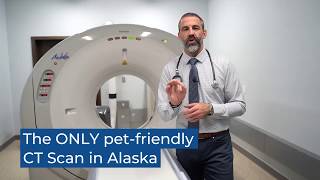 Advanced Imaging at Tier 1 Vet