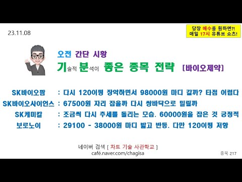 [오전시황 및 종목전략] SK바이오팜 SK바이오사이언스 <strong>SK케미칼</strong> 보로노이 바이오 제약 주가 매매 전략 231108