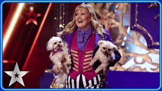 wildcard act the trickstars are the greatest show dogs the