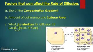 Unit 3 -  Diffusion & Passive Transport