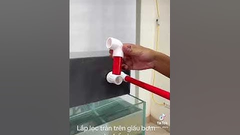 Lắp lọc tràn trên giấu bơm cho bể cá cảnh!