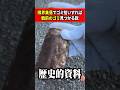 山奥でゴミ拾いすると当たり前のように骨董品が出土する