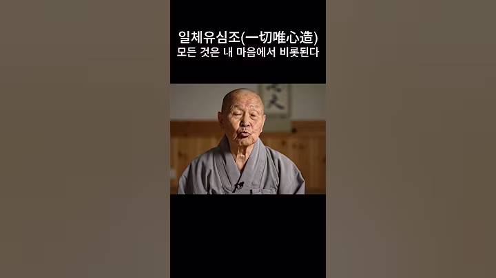 모든 것은 내 마음에서 비롯된다 90대 고승의 조언  #불교명상 #shorts