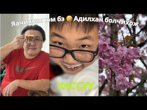Гэнэт хараад ШОК ( BOGI’S Life Vlog 1121 )