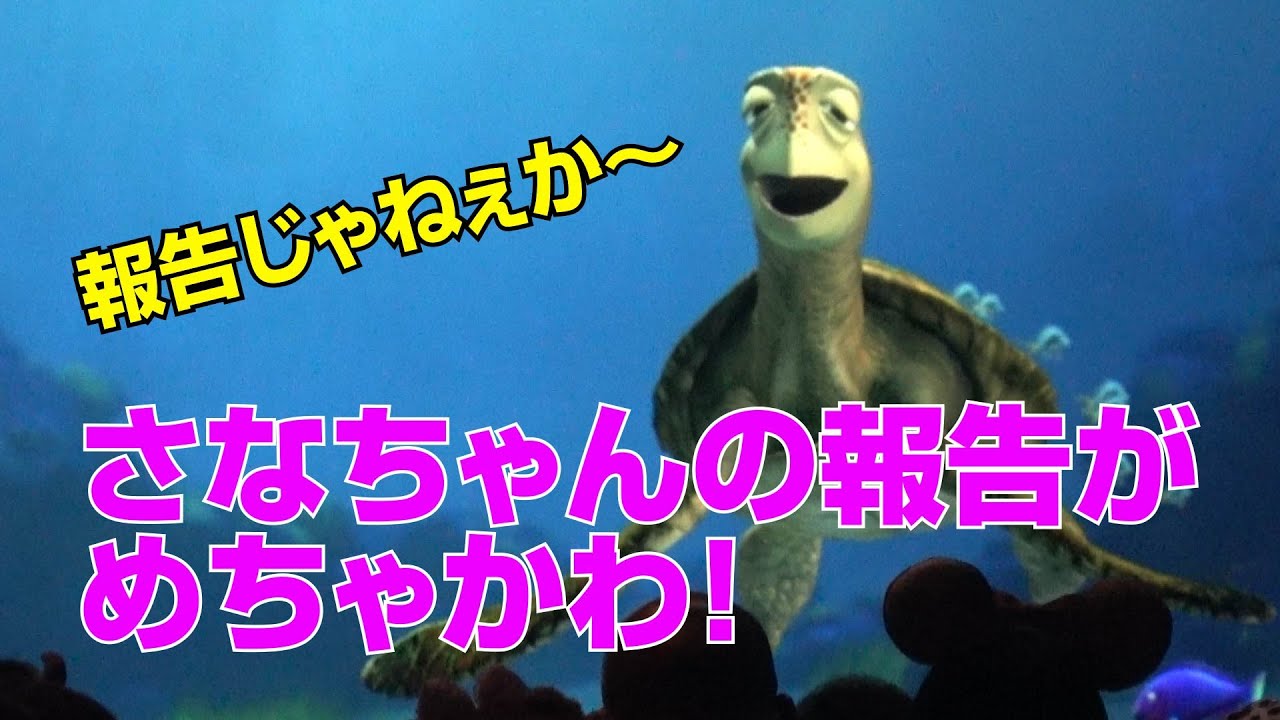 爆笑＆めちゃかわ！「おにくです…　報告じゃねぇか～ｗｗｗ」クラッシュとのやり取りがめっちゃかわいいさなちゃん/休園期間中何してた？　タートルトーク　東京ディズニーシー