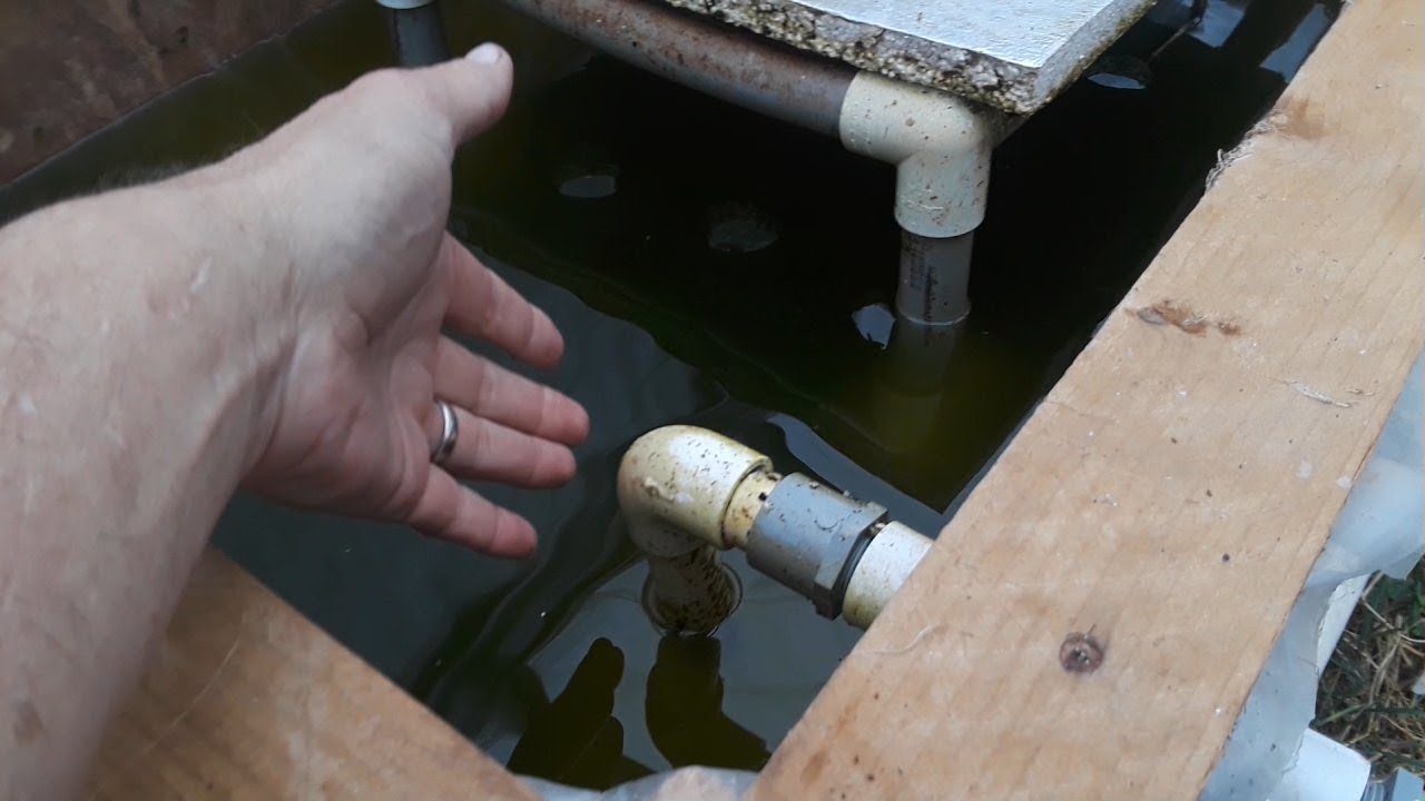 Making a Bell Siphon without the bell YouTube