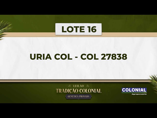 LOTE 16   URIA COL   COL 27838