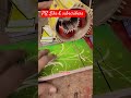 Motor pump #electrical #viralvideo #trending #...