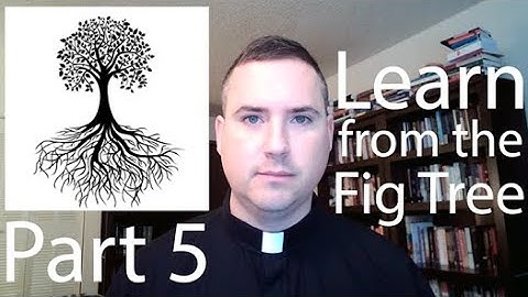 Postmillennialism: Learn from the Fig Tree - Part 5