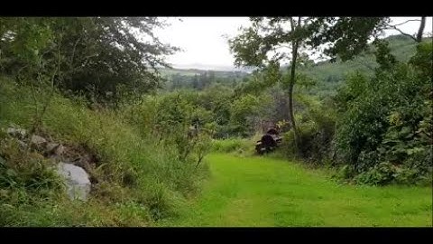 Simplex SP24. Fab depth, separation, balance. 2.77 and new coil are a perfect match.