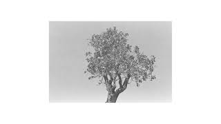 EP.7_Black and White Project_LOMOGRAPHY BERLIN 400_FM2