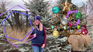 Coniferous Vs  Deciduous Trees Coniferous Vs Deciduous Trees Whats The Difference Nerdy About Nature