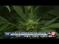 Three states approve recreational marijuana