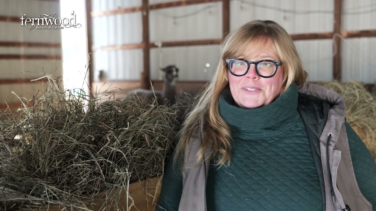 Verdant Hollow Farms - What Can People Expect