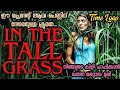 In the Tall Grass | English Movie Explained in Malayalam | Full Movie Malayalam Explanation