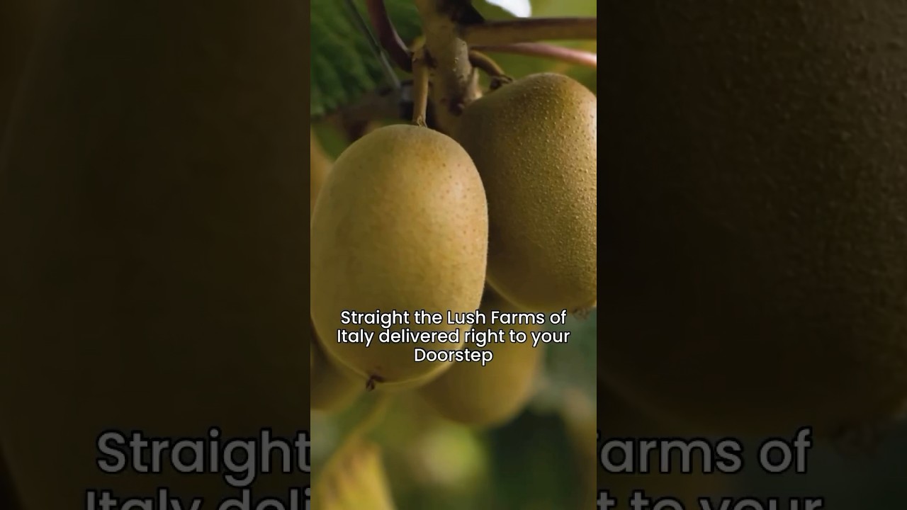 Zespri Sungold Kiwi at ₹150/pack of 2| Froovella|Same Day Delivery in Delhi,Gurugram and Noida