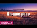 Hawaiian Music for Relaxing Evenings | Sunset Field Calm, Chill Study & Nostalgic Vibes