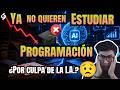 Ya no quieren estudiar Programación por culpa de la I.A.