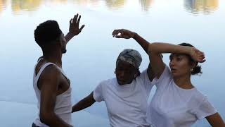 Blueblood / The movement is universal language