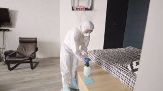 Get Rid of Bed Bugs in Sydney | Expert Pest Control
