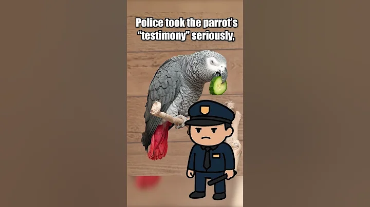 Bud – the parrot who helped solve a murder