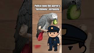 Bud – the parrot who helped solve a murder