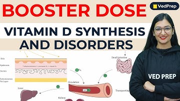 Vitamin D Synthesis and Disorders | Booster Dose | VedPrep Biology Academy
