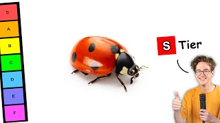 Bug Tier List