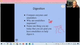 2nd part of digestion - BI 103