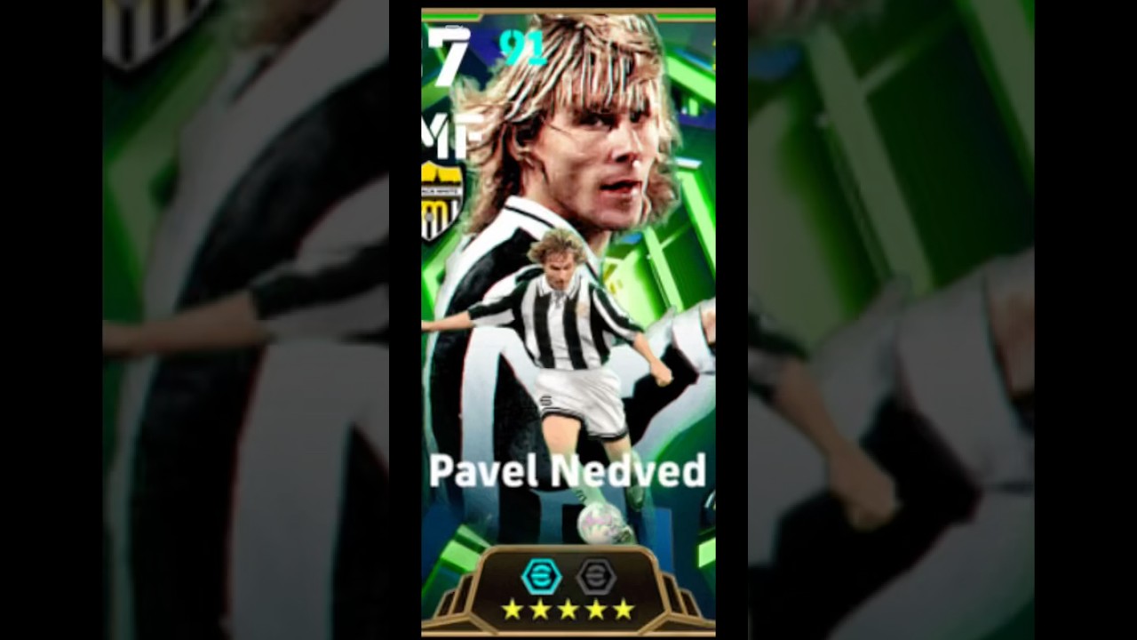 PERFECT build NEDVED 