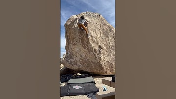 Dynamo Hum (v1) - Joshua Tree