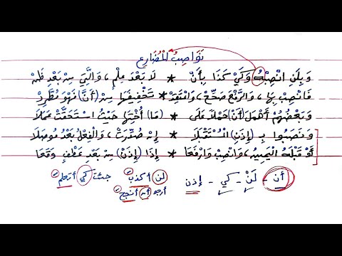 شرح ألفية ابن مالك 226 نصب الفعل المضارع 