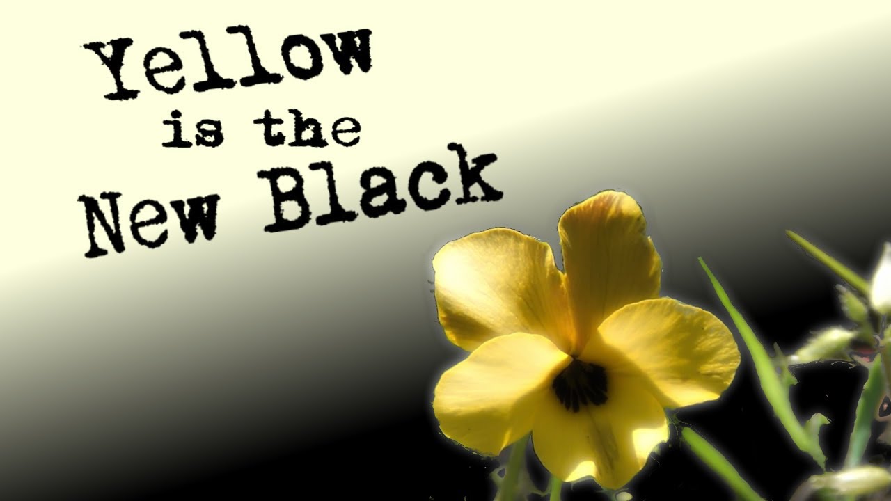 Yellow is the New Black: Discovery #6