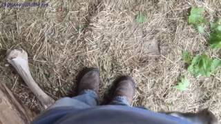 What it's like to stand in the squirrel pen...
