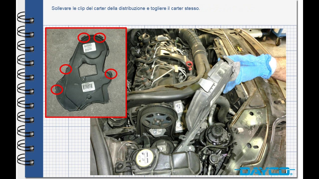 Kit cinghia distribuzione per VOLVO V50 (MW, 545) 1.6 D ...