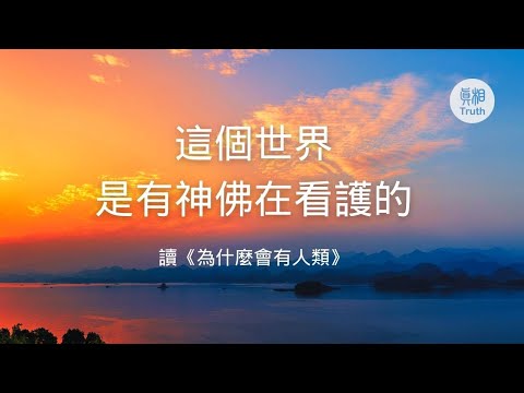 这个世界是有神佛在看护的 读《为什么会有人类》