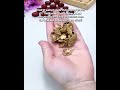 The Ultimate Heavy-Duty Walnut Sheller & Nut Cracker 🌰 | #DIYTools