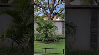 #apartmentforsale #luxury #home #landscaping #property #shortsfeed #shorts #fypviral #luxurylife