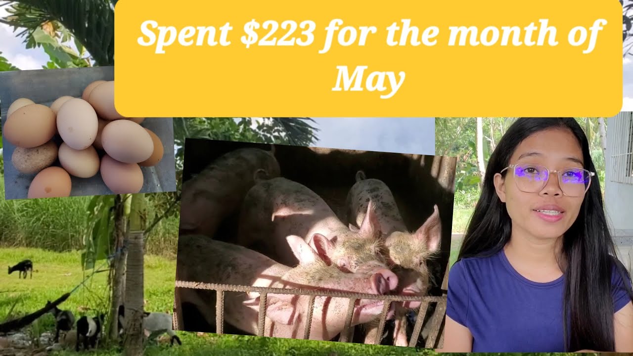 What is the best invesment in the province? Life in the in the province 