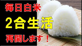 毎日お米2合生活再開！白米でダイエットできるのか？体重と体型を公開していきます。