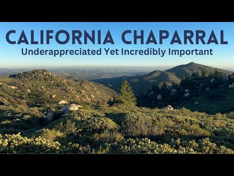 วีดีโอ: California chaparral ตั้งอยู่ที่ไหน