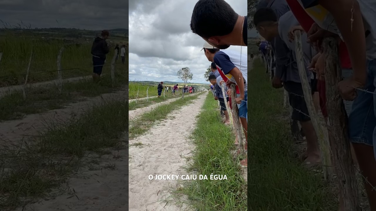 CORRIDA DE CAVALO - PRADO. O JOCKEY CAIU DA ÉGUA! #prado #cavalo #corridadecavalo #cavalos #incident