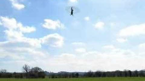 NoseIn Hover #1 T-rex 500 Phoenix