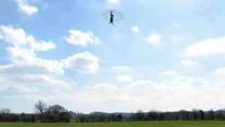 NoseIn Hover #1 T-rex 500 Phoenix