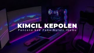 DJ KIMCIL KEPOLEN ( PANCENE KOE PABU NURUTI IBUMU )