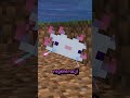 Axolotle są OP w Minecraft – leczą, walczą i chronią! ⚔️💎